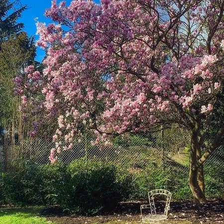 Apartament Nostalgie-nest Mit Boxspringbett