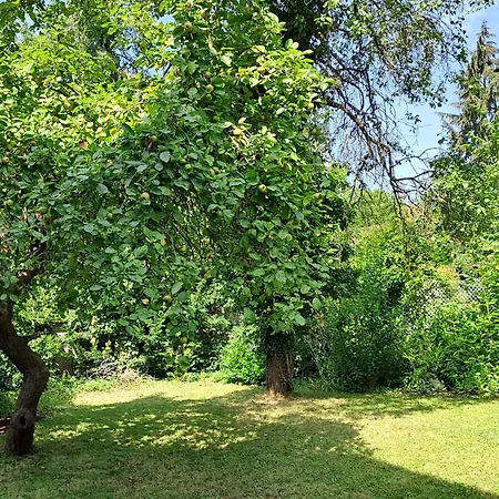 아파트 Nostalgie-nest Mit Boxspringbett