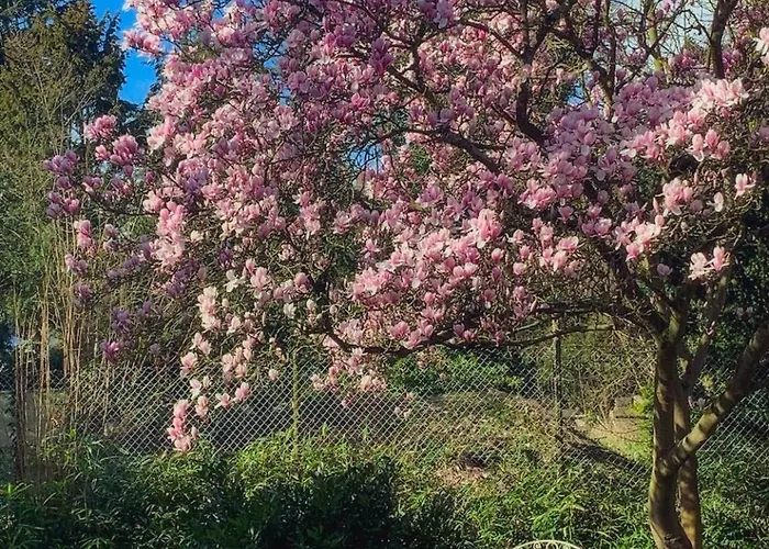 Διαμέρισμα Nostalgie-nest Mit Boxspringbett